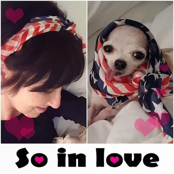 Meet your Posher, Michele - Picture 5 of 5